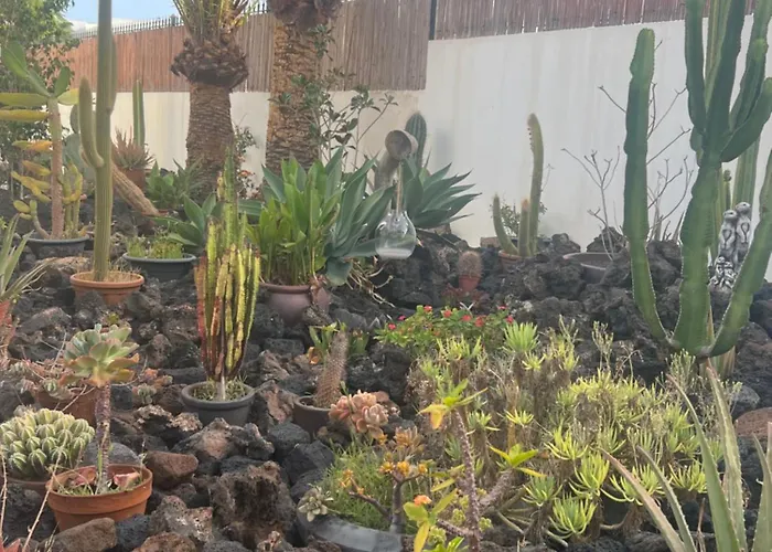 Apartamento Acuario Sol *